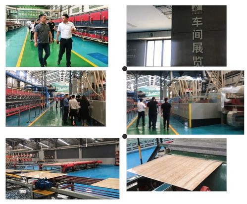 探訪廣東，解碼品質與工廠價 海南捷誠裝飾考察之旅的技術啟示